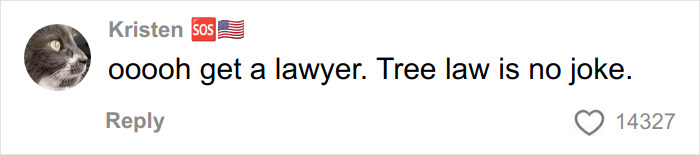Comment saying tree law is no joke, highlighting a woman’s reaction in a viral debate about tree law issues. Comment saying tree law is no joke, highlighting a woman’s reaction in a viral debate about tree law issues.