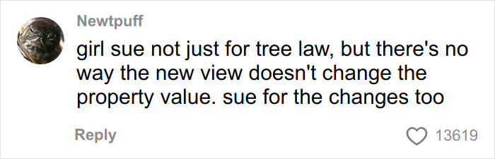 Comment criticizing tree law and discussing suing neighbor for bulldozing trees and property value changes. Comment criticizing tree law and discussing suing neighbor for bulldozing trees and property value changes.