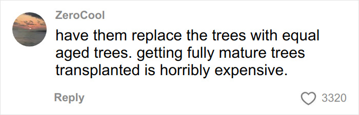Comment from user ZeroCool about replacing trees with equal aged ones after bulldozing, highlighting tree law debate. Comment from user ZeroCool about replacing trees with equal aged ones after bulldozing, highlighting tree law debate.