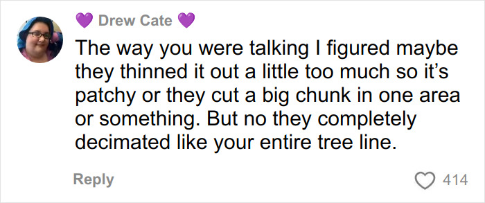 A woman commenting on tree law and discussing the complete removal of her entire tree line by a neighbor. A woman commenting on tree law and discussing the complete removal of her entire tree line by a neighbor.