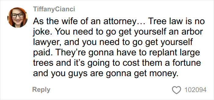 Screenshot of a woman’s comment discussing tree law and advising to hire an arbor lawyer for bulldozed trees dispute.