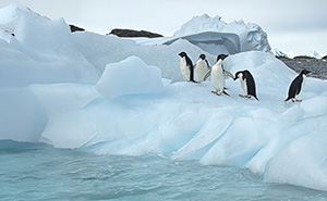 Nothing Prepares You For The Scale And Beauty Of Antarctica: My Adventure Of A Lifetime
