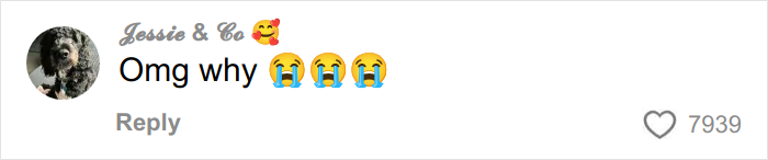 Comment on social media post expressing shock and sadness with crying emojis and a profile picture of a dog.