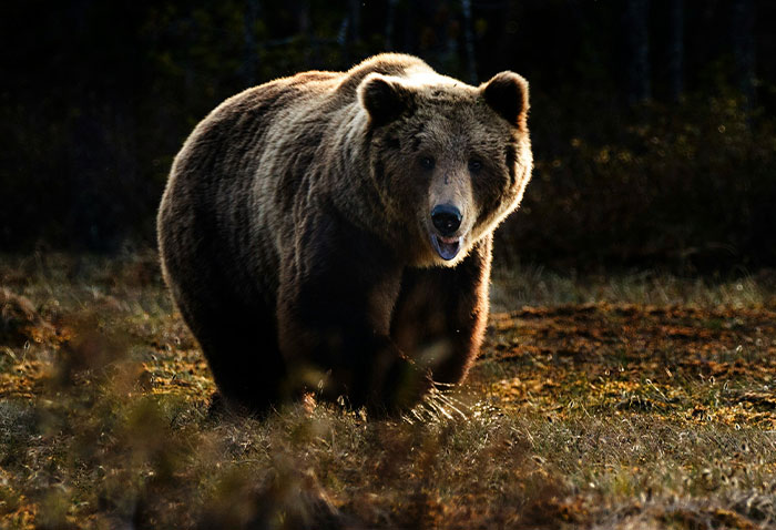 “Hell Of An Exit”: 44 Stories Of People Who Met The Most Unbelievable Ends