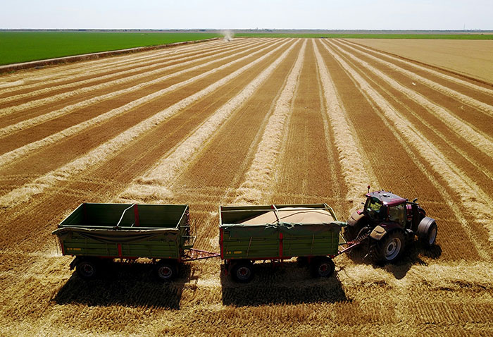 “Hell Of An Exit”: 44 Stories Of People Who Met The Most Unbelievable Ends