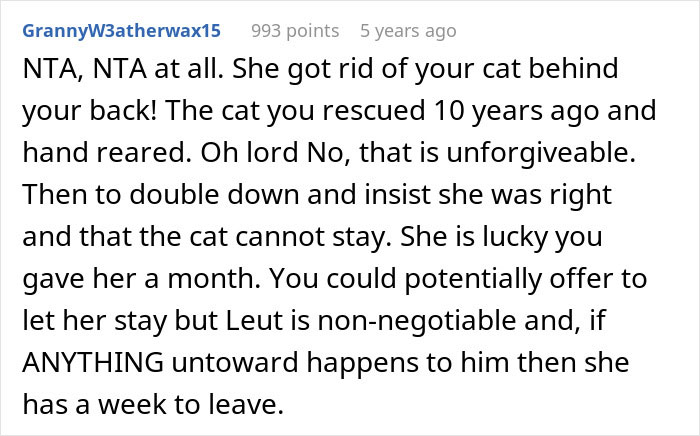 Pregnant Daughter Decides To Put Dad’s Cat In A Shelter Because Of Her Baby’s Safety, Gets Kicked Out Pregnant Daughter Decides To Put Dad’s Cat In A Shelter Because Of Her Baby’s Safety, Gets Kicked Out