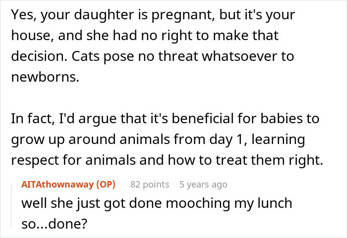 Pregnant Daughter Decides To Put Dad’s Cat In A Shelter Because Of Her Baby’s Safety, Gets Kicked Out Pregnant Daughter Decides To Put Dad’s Cat In A Shelter Because Of Her Baby’s Safety, Gets Kicked Out