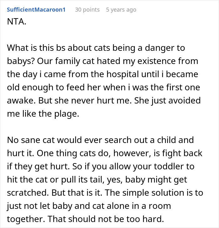 Pregnant Daughter Decides To Put Dad’s Cat In A Shelter Because Of Her Baby’s Safety, Gets Kicked Out Pregnant Daughter Decides To Put Dad’s Cat In A Shelter Because Of Her Baby’s Safety, Gets Kicked Out