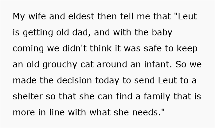 Pregnant Daughter Decides To Put Dad’s Cat In A Shelter Because Of Her Baby’s Safety, Gets Kicked Out Pregnant Daughter Decides To Put Dad’s Cat In A Shelter Because Of Her Baby’s Safety, Gets Kicked Out