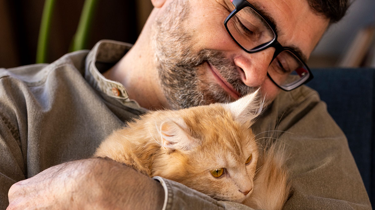 Man wearing glasses hugging a fluffy orange cat, showing affection and warmth in a cozy indoor setting.