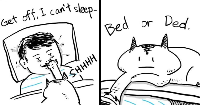29 Comics By Xibang Starring A Cat Who Is Honest, Dramatic, And Absolutely Unbothered