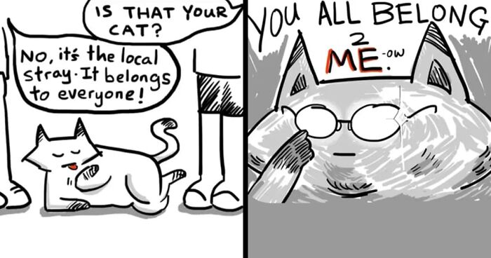 29 Comics By Xibang Starring A Cat Who Is Honest, Dramatic, And Absolutely Unbothered