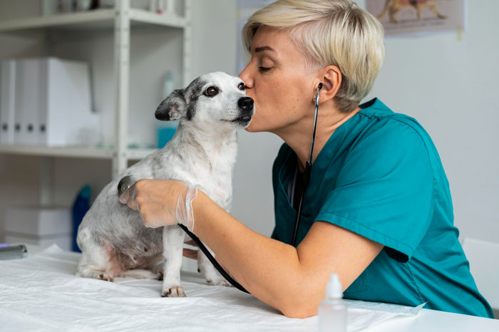 Veterinarian in teal scrubs using stethoscope on small dog during a pet checkup in a clinic setting. Veterinarian in teal scrubs using stethoscope on small dog during a pet checkup in a clinic setting.