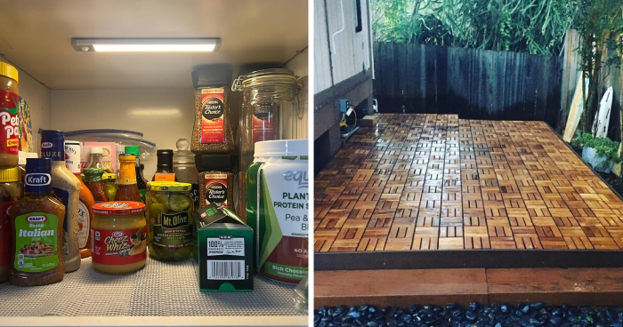 “Imagine Falling Into It”: 110,000 Spiders Built World’s Biggest Web, And It’s Absolute Nightmare Fuel