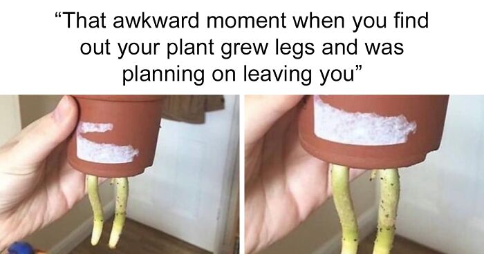 Students And Young Adults Are Living Interesting Lives, As Seen In These Relatable 119 Memes (New Pics)