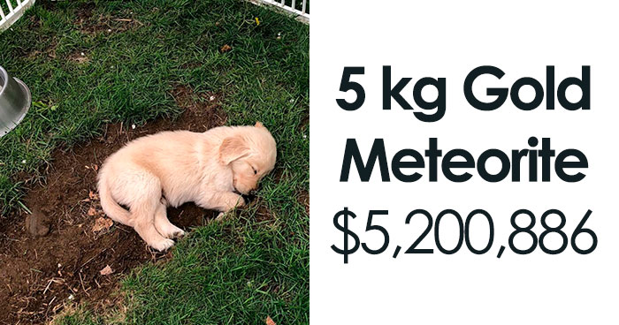 50 People Who Seemingly Don’t Know How Facebook Marketplace Actually Works