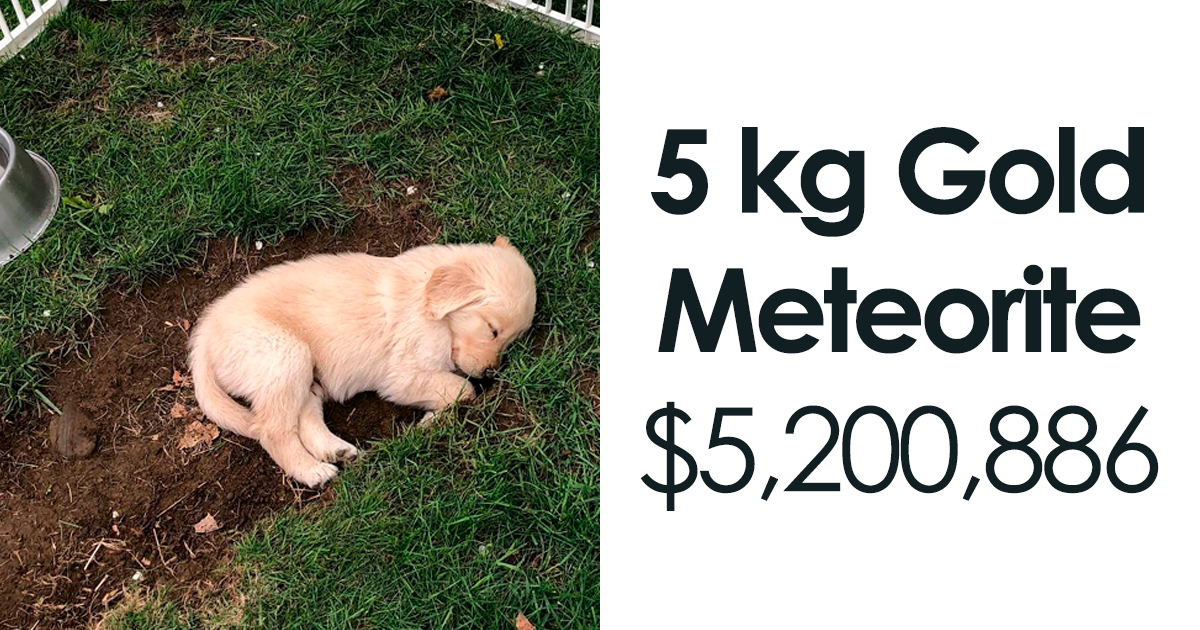 100 Times FB Marketplace Shined With The Most Unhinged Posts