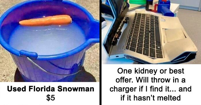 100 Times FB Marketplace Shined With The Most Unhinged Posts