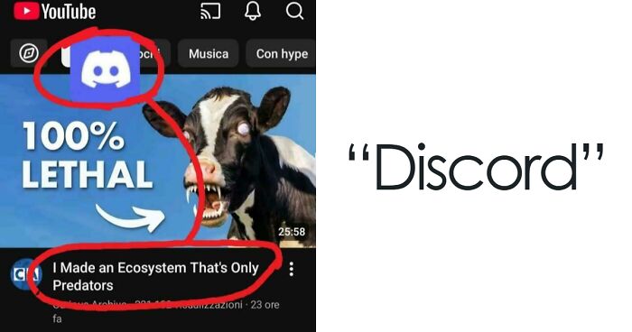 91 Things That Look Like Or Remind People Of Other Things