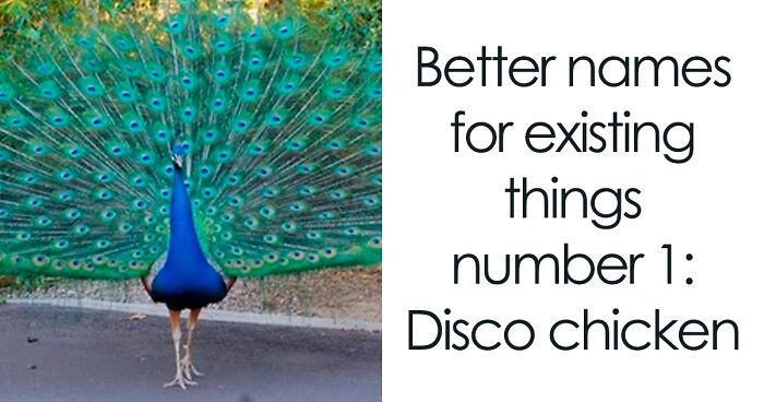 If You’re Feeling Heavy Today, Here Are 53 Adorable And Lighthearted Animal Memes