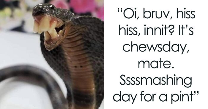 If You’re Feeling Heavy Today, Here Are 53 Adorable And Lighthearted Animal Memes