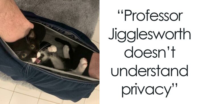 101 Times People Got A Pet And Had To Say Goodbye To Personal Space (New Pics)