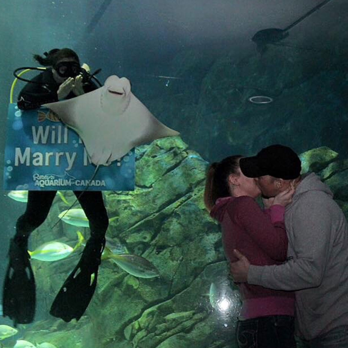 50 Photos Ruined In The Funniest Way Possible By Unexpected Cameos (New Pics)