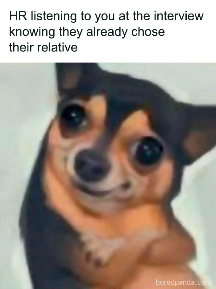 Funny meme image of a dog with a suspicious face, part of the Laughgorithm perfect 104 memes collection.