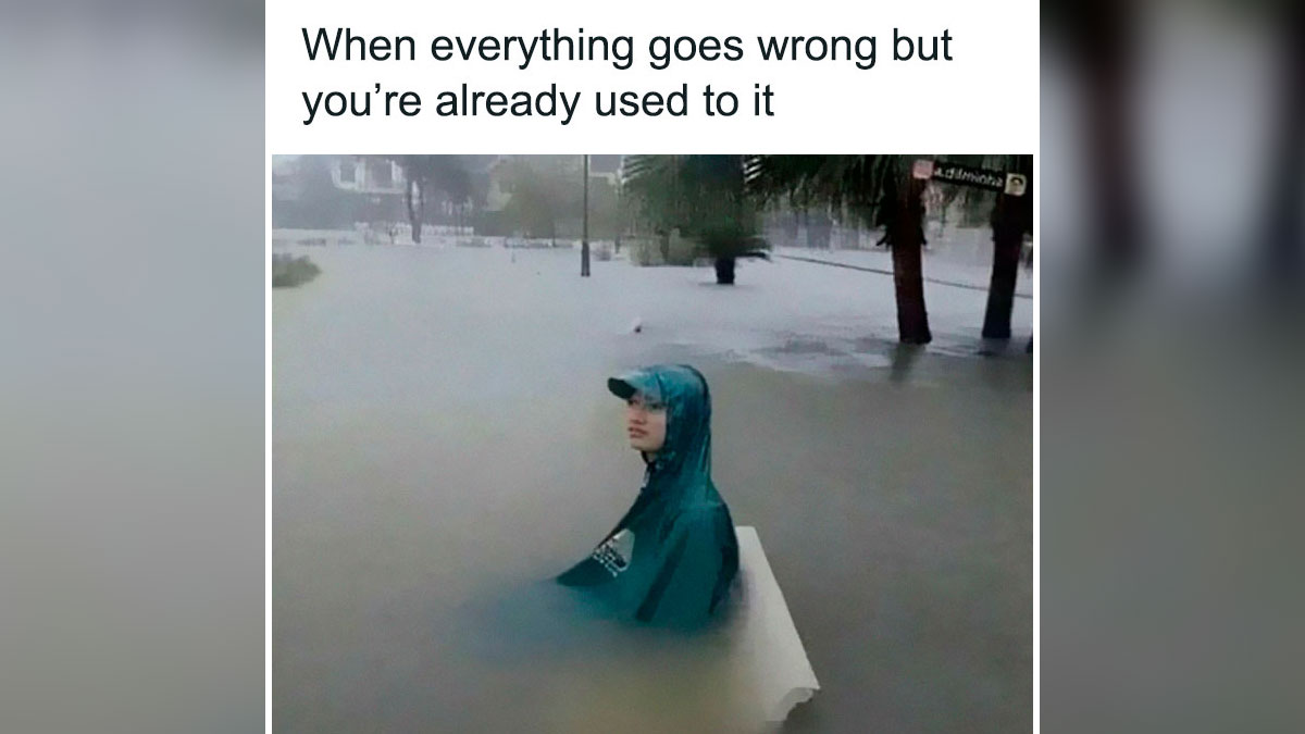 Person sitting on a bench flooded in water with caption about everything going wrong used in a funny meme laughgorithm