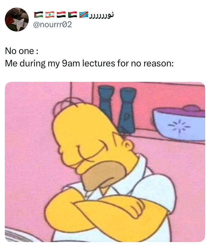 Meme showing Homer Simpson sleeping with arms crossed, relatable student meme about being tired during lectures.