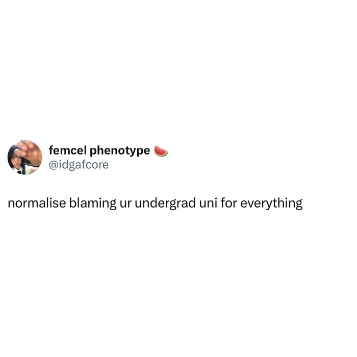 Relatable student meme about blaming undergrad university for everything, capturing tired and broke student humor.