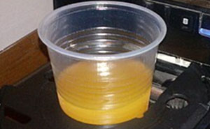 50 Times People Found Gems On Wikipedia That Were Too Funny Not To Share (New Pics)