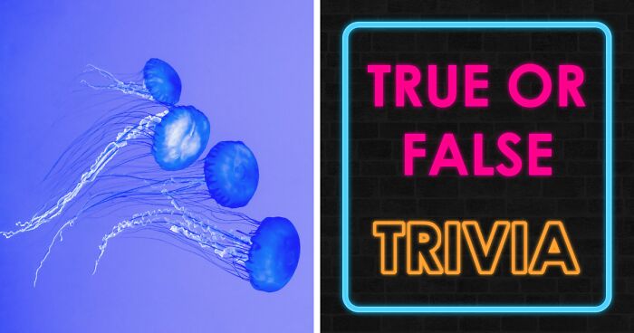 “Can You Spot The Truth In All 30 Questions?”: Take This True-Or-False Quiz & Find Out