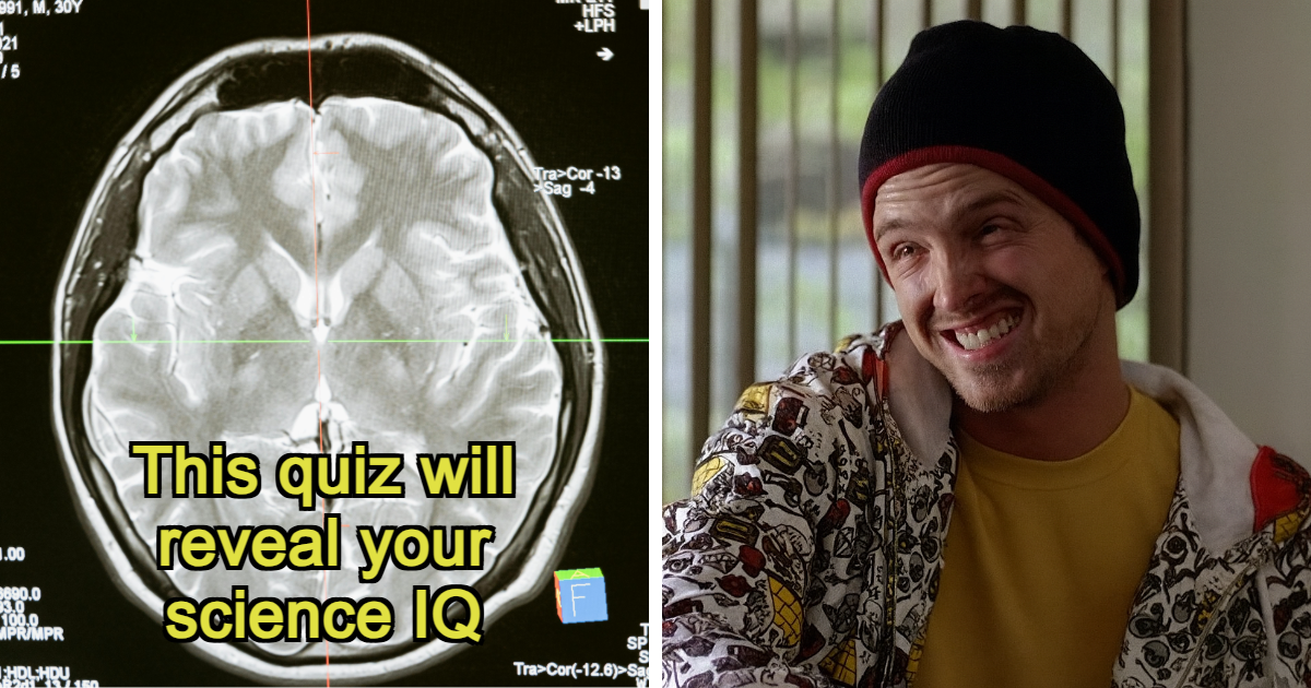 We Prepared 27 General Science Questions, Anything Above 22 Is An Excellent Score – Bored Panda We Prepared 27 General Science Questions, Anything Above 22 Is An Excellent Score – Bored Panda