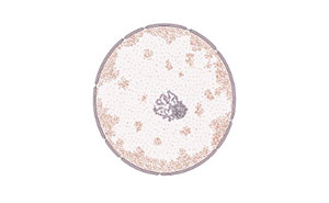 We Prepared 27 General Science Questions, Anything Above 22 Is An Excellent Score