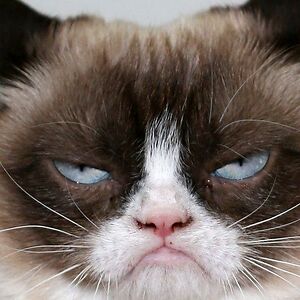 impossiblekat avatar