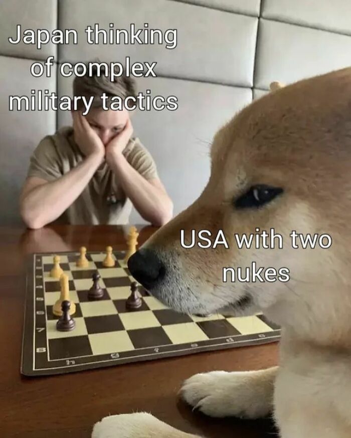Man contemplating chess moves labeled Japan thinking of complex military tactics, dog labeled USA with two nukes in history memes.