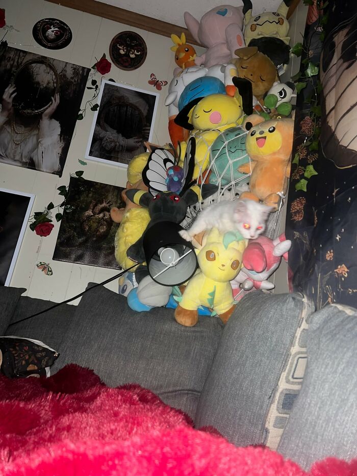 Small white cat with glowing eyes climbing colorful plush toys on a gray couch in a cozy room setting.