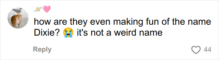 Screenshot of a social media comment defending the name Dixie amid bullying and a mom allowing her 16-year-old daughter to change her racist name.
