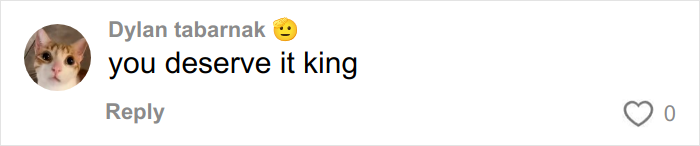 Comment from Dylan tabarnak with a cat profile picture saying you deserve it king on a social media post.