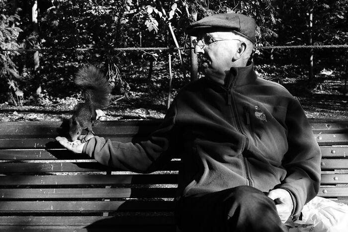 An elderly man feeding a squirrel on a park bench, capturing marvels of daily life in a magical street moment.