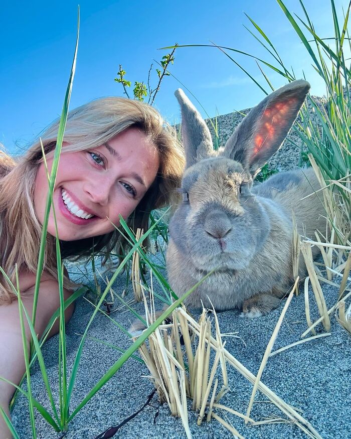 Young woman smiling next to Hoppy Gilmore the rabbit outdoors, showing his affectionate and dog-like companion nature. Young woman smiling next to Hoppy Gilmore the rabbit outdoors, showing his affectionate and dog-like companion nature.