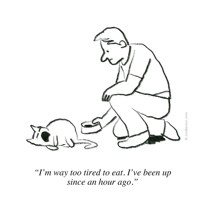 Cartoonist illustration showing man offering food to a tired cat, capturing what it’s like to live with cats humorously.