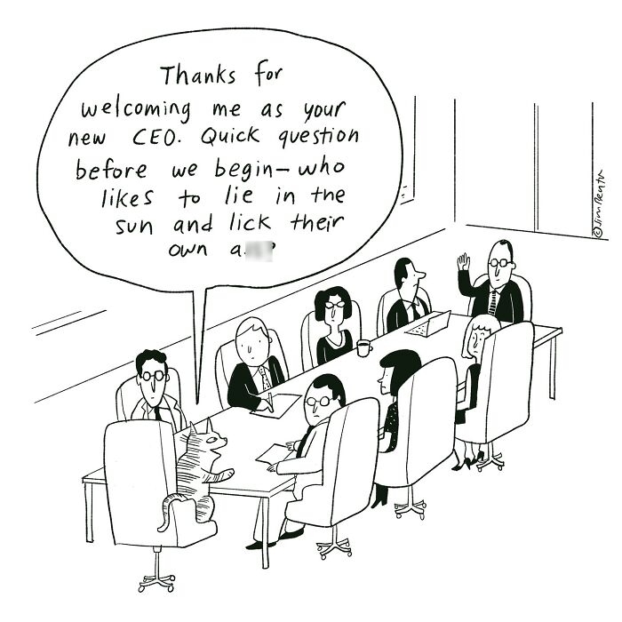 Cartoonist comic showing a cat as CEO asking a boardroom of people who likes to lie in the sun and lick themselves.