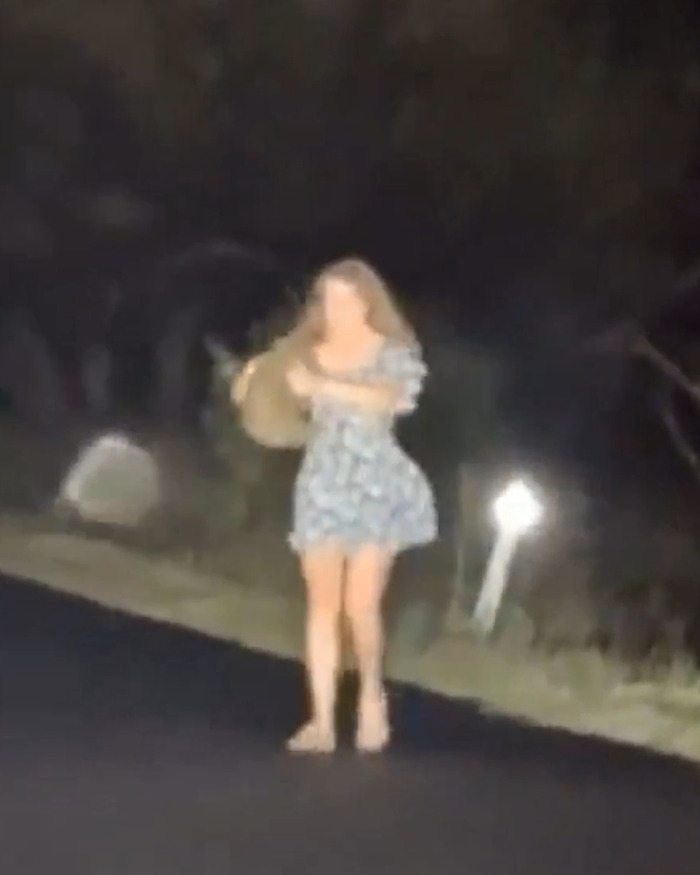Woman holding baby wombat on a dark road at night, related to influencer who snatched baby wombat and got arrested. Woman holding baby wombat on a dark road at night, related to influencer who snatched baby wombat and got arrested.