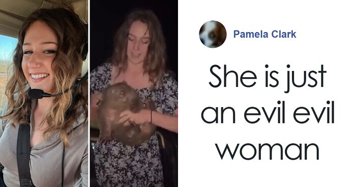 Woman Who Snatched Baby Wombat From Its Mother Arrested For New Controversy