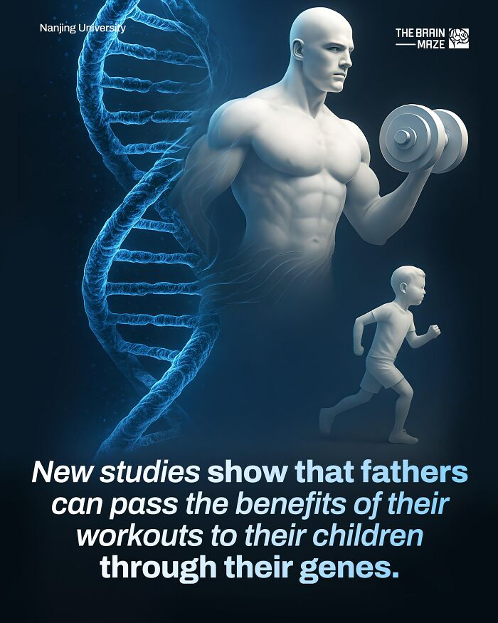 interesting-facts-brain-maze-692800a5661