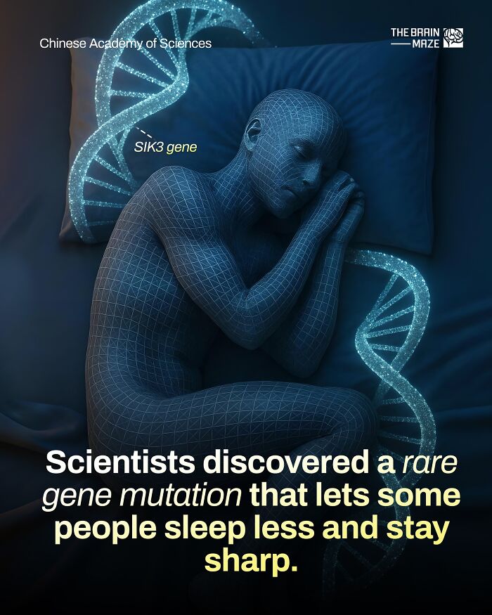 interesting-facts-brain-maze-692800c0d6c