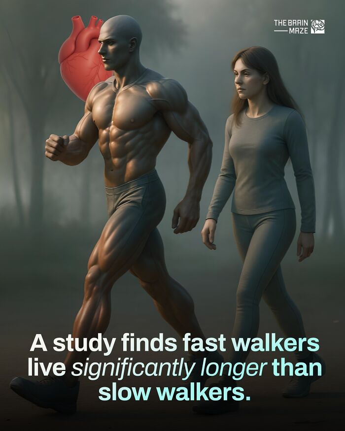 interesting-facts-brain-maze-692802dc82b