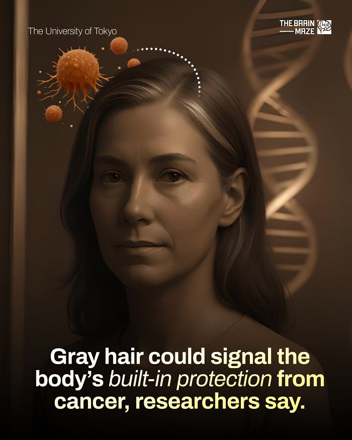 interesting-facts-brain-maze-692802ec4d0